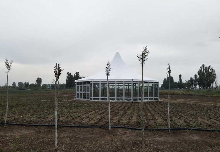 Yinchuan 15 meter diameter polygonal tent