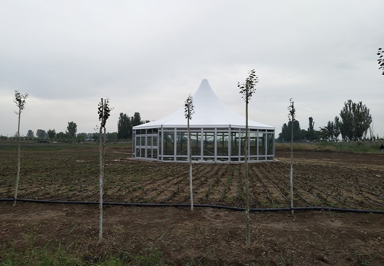 Yinchuan Flower Expo